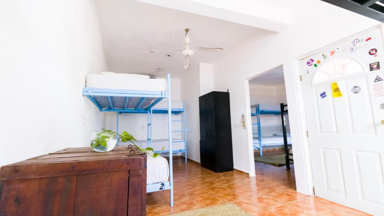Weary Traveler Hostel Tulum Room photo